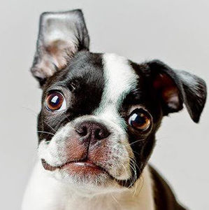 Meet your Posher, Kiera